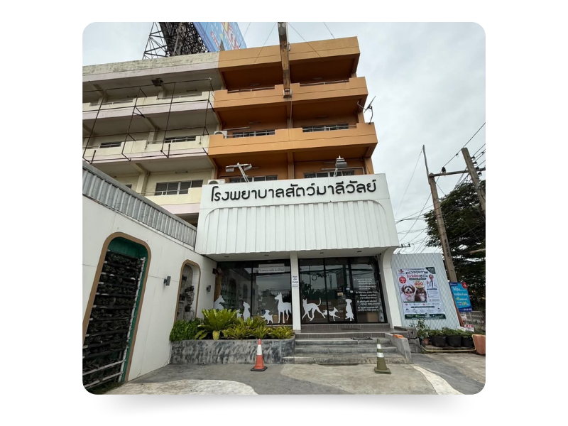 โรงพยาบาลสัตว์มาลีวัลย์ โรงพยาบาลสัตว์มาลีวัลย์