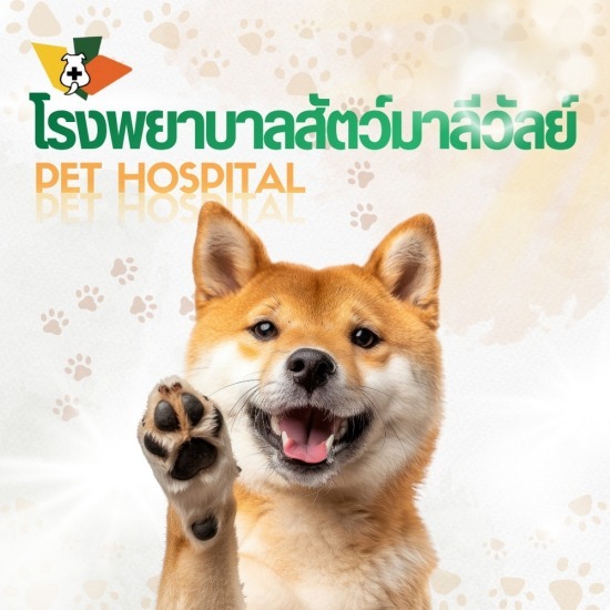 โรงพยาบาลสัตว์ย่านคลองสอง
