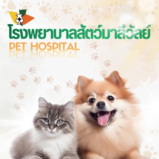 โรงพยาบาลสัตว์ใกล้ฉัน