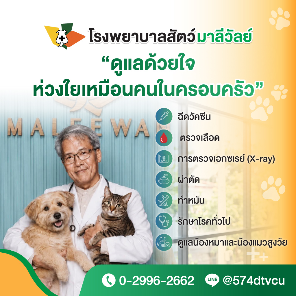 โรงพยาบาลสัตว์มาลีวัลย์